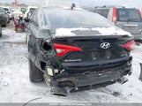 Hyundai Sonata Sport Tech 5NPE34AFXGH382073 снимка