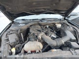 Ford Mustang V6 1FA6P8AM1H5211458 снимка