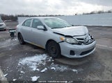 Toyota Corolla S/Le 2T1BU4EE9BC558978 fotografie