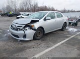 Toyota Corolla S/Le 2T1BU4EE9BC558978 снимка