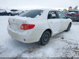 Toyota Corolla Le 2T1BU4EE4AC219236 fotografie
