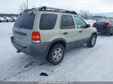 Ford Escape Xlt 1FMYU93113KE05904 снимка