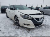 Nissan Maxima 3.5S/Sv/Sl/Sr/Plat 1N4AA6AP1GC382778 fotografie