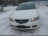 Acura Tsx JH4CL96874C806507 снимка