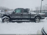 Ford F-250 King Ranch/Lariat/Xl/Xlt 1FTSW21P16EB95388 fotografie