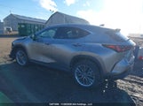 Lexus Nx 350H 350H 2T2GKCEZ5SC052018 fotografie