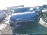 Toyota Rav4 Xle 2T3R1RFV3MC195865 снимка