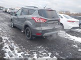 Ford Escape Se 1FMCU0GX3EUC95434 снимка
