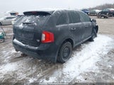 Ford Edge Sel 2FMDK4JC8EBB24613 photo