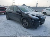 Ford Escape Hybrid 1FMCU0KZ5MUA82928 fotografie