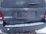 Ford Escape Xlt 1FMCU93118KE37088 снимка
