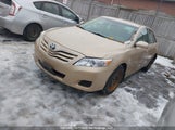 Toyota Camry Le 4T1BF3EK1BU226882 снимка
