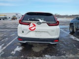Honda Cr-V Lx 2HKRW2H25MH206558 снимка