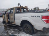 Ford F-150 Xl 1FTEX1EM3DFB47063 снимка