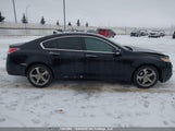Acura Tl 19UUA9F52AA801399 снимка