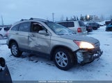 Honda Cr-V Exl 5J6RE48709L809408 снимка