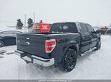 Ford F-150 Xlt 1FTFW1ET8DFA40458 снимка