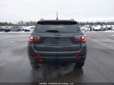 Jeep Compass Trailhawk 3C4NJDDN3RT175066 снимка