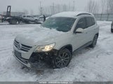Volkswagen Tiguan WVGBV7AX8AW509567 снимка