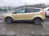 Ford Escape Se 1FMCU0G7XFUC68376 снимка