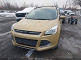 Ford Escape Se 1FMCU0G7XFUC68376 снимка