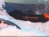 Mazda Mazda3 JM1BN1V76H1133003 снимка