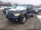 Ford Escape Xlt 1FMCU0D74BKC00343 снимка