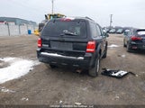 Ford Escape Xlt 1FMCU0D74BKC00343 fotografie