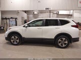Honda Cr-V Lx 2HKRW2H21MH232543 photo