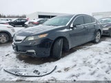 Acura Tl 19UUA9F58DA800309 снимка