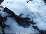 Honda Civic Lx 2HGFC2F56KH017899 снимка