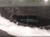 Hyundai Tucson KM8J33A40MU348406 снимка