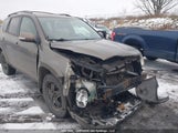 Toyota Rav4 Limited JTMBF31V995002199 снимка