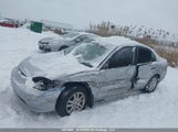 Honda Civic Lx 2HGES16693H926061 снимка
