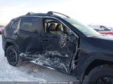 Toyota Rav4 Xle/Xle Premium 2T3R1RFV6MC167770 photo