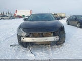 Nissan Maxima Platinum/Sl/Sr/Sv 1N4AA6AP7GC381411 photo