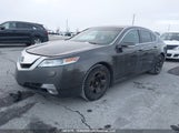 Acura Tl 19UUA9F50AA801238 снимка