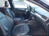 Ford Escape Platinum 1FMCU9JA2SUB24601 fotografie