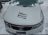 Kia Forte Sx KNAFW4A39B5416365 снимка