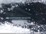 Kia Telluride Sx/Sx Limited/Sx Limited W/Nappa 5XYP5DHC8LG074139 снимка