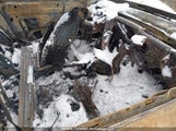 Volkswagen Jetta 3VWLL7AJ6DM456024 снимка
