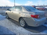 Toyota Corolla S/Le/Xle 2T1BU4EE8AC231051 снимка