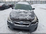 Subaru Crosstrek Premium JF2GPABC0G8266655 снимка