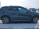 Mercedes-Benz Ml 350 Bluetec 4JGBB2FBXBA726299 снимка