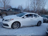 Hyundai Sonata 5NPE34AF9FH253062 снимка