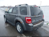 Ford Escape Xlt 1FMCU9DG8CKC30175 fotografie
