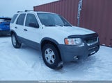 Ford Escape Xlt 1FMCU93113KE06576 снимка