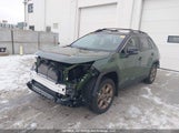 Toyota Rav4 Xle/Woodland Edition 2T3RWRFVXSW291859 снимка
