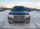 Ford Escape Xlt 1FMCU03148KB74199 снимка