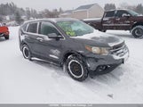 Honda Cr-V Ex 5J6RM4H53CL800307 fotografie